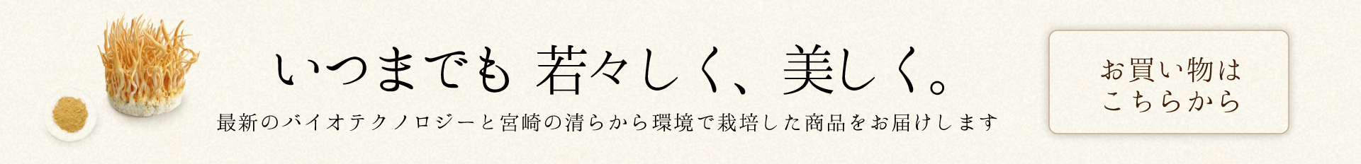 冬虫夏草のお求めはこちら